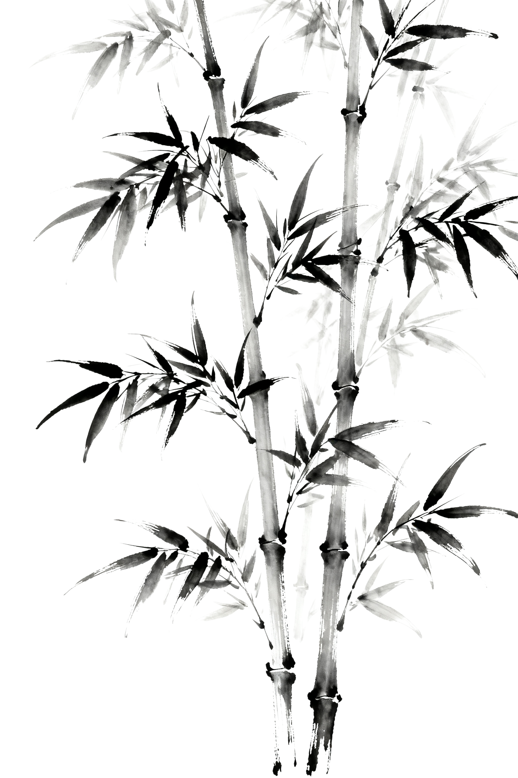 竹子 竹叶 国风  (8)