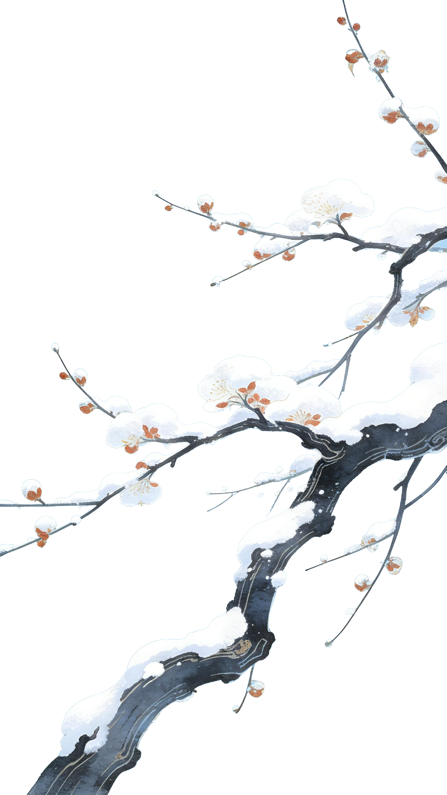 树枝 冬天 树枝上的雪 (6)-注灵网-你的灵感社区-注入灵感 激活创意(提供AI提示词,海量免抠 PNG、创意图片、短视频、背景等素材 ...